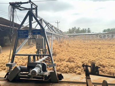 Khuyến công quốc gia: Đề án điểm cú hích cho chuỗi giá trị dừa Vĩnh Long