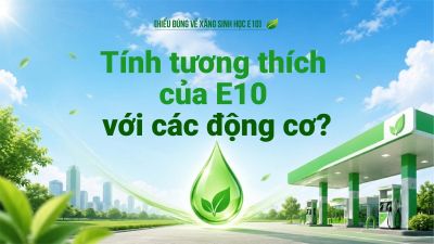 Tính tương thích của E10 với các động cơ?