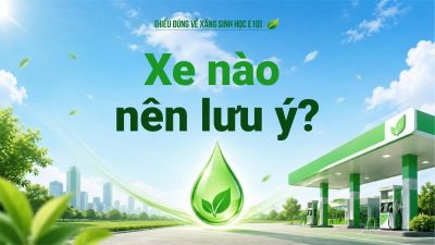 Xe nào nên lưu ý?
