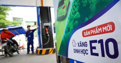 Bộ Công Thương yêu cầu rà soát khả năng tương thích của phương tiện với xăng E10