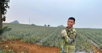 Hạ nhiệt giá phân bón: Lời giải từ chính sách thuế và chuỗi liên kết