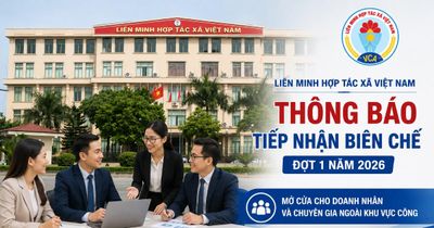 Liên minh Hợp tác xã Việt Nam thông báo tiếp nhận 30 biên chế