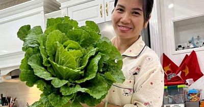 Mẹ 5 con ở Quảng Ninh biến sân thượng thành khu vườn, 11 năm gần như không mua rau ngoài chợ