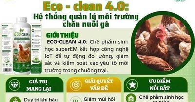 10 dự án vào chung kết cuộc thi khởi nghiệp nông nghiệp tại Huế