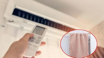 Bật điều hòa cả ngày không còn khô da, khô mũi nếu trong phòng có 3 thứ này