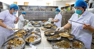 Bảo hiểm y tế và bài toán chi trả thuốc y học cổ truyền