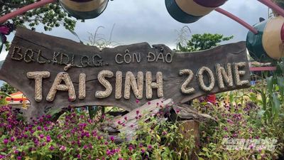 Biến rác thành tài nguyên, những mô hình xanh đang thay đổi Côn Đảo