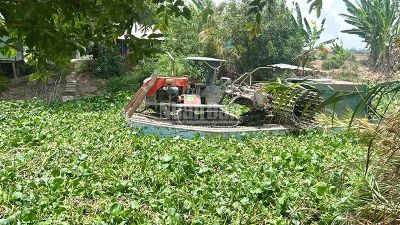 Dân tiếp tục 'kêu cứu' vì lục bình dày đặc trên kênh, sông