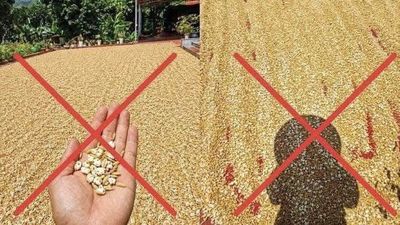 Đăng tin thóc phơi ngoài trời 'nổ thành bỏng', người đàn ông bị xử lý
