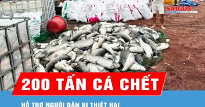 Hỗ trợ người dân bị thiệt hại do cá chết ở hồ Trị An