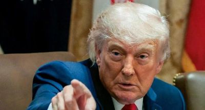 Ông Trump chỉ trích loạt nghệ sĩ