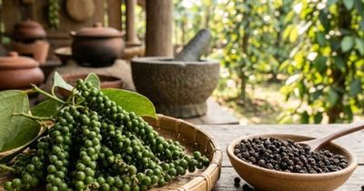 Giá tiêu ổn định, xuất khẩu hồ tiêu đón tín hiệu tích cực từ Ấn Độ
