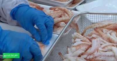 Tôm Việt Nam xuất sang Mỹ gặp áp lực từ thuế, sức mua, đến giá cả, 'thoát hiểm' bằng cách nào?
