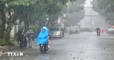 Thời tiết ngày 31/5: Cảnh báo mưa lớn ở Nam Bộ và Lâm Đồng