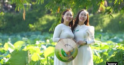 Giới trẻ chen chân check-in hồ sen trắng 'tiến vua' ở cố đô Huế