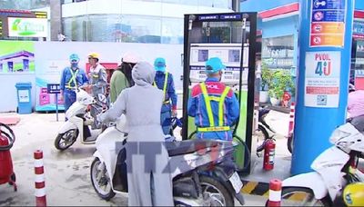 Những kẻ 'phá bĩnh' về xăng E10