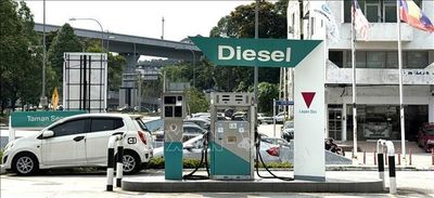 Malaysia nâng tỷ lệ pha trộn dầu diesel sinh học lên mức B15