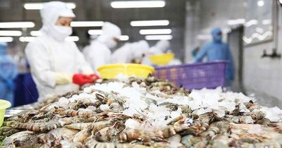 Ghẹ Việt Nam rộng cửa vào Mỹ, tôm tiếp tục chịu sức ép