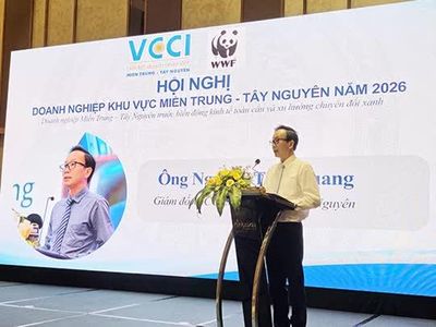 Doanh nghiệp miền Trung - Tây Nguyên: Doanh thu được dự báo tăng, doanh nghiệp vẫn ngại mở rộng sản xuất