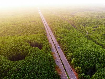 TP.HCM chuẩn bị hơn 9.800 tỉ đồng giải phóng mặt bằng tuyến metro Bến Thành - Cần Giờ