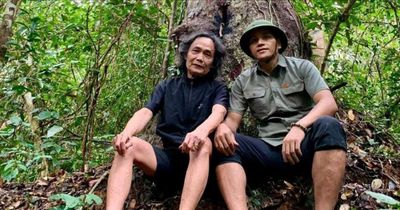 Tìm lại linh hồn của ngàn xanh