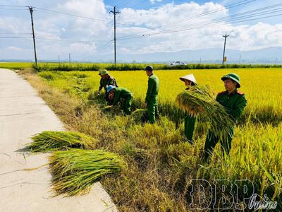 Học Bác bằng việc làm thiết thực