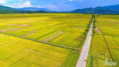 Khoảng lặng của cánh đồng