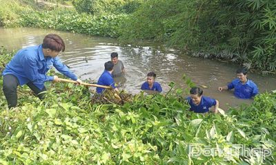 Đồng Tháp: Hưởng ứng Ngày Môi trường thế giới và Tháng hành động vì môi trường năm 2026
