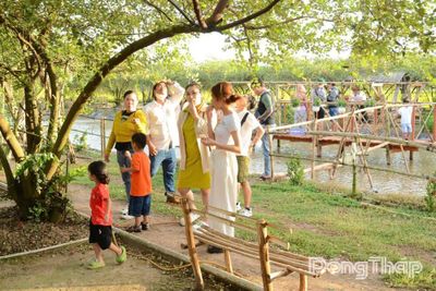 Mùa trái chín: 'Điểm hẹn' hấp dẫn du khách