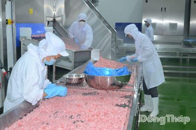 Chế biến sâu: Đòn bẩy nâng cao giá trị cây ăn trái