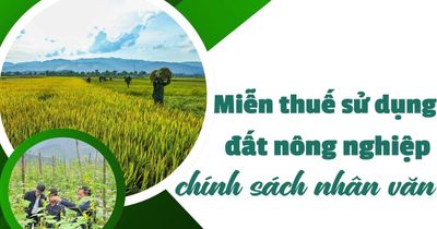 Miễn thuế sử dụng đất nông nghiệp chính sách nhân văn