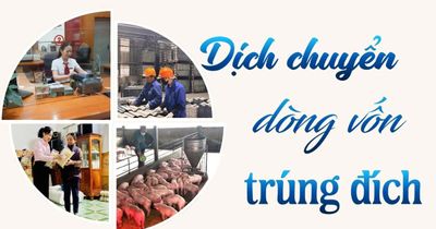 Dịch chuyển dòng vốn trúng đích