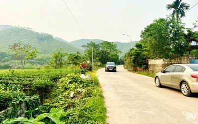 Nông Trường vươn lên từ đồi rừng