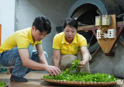 Dấu ấn của nữ giám đốc Hợp tác xã Hương Vân Trà