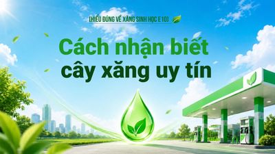 Cách nhận biết cây xăng uy tín