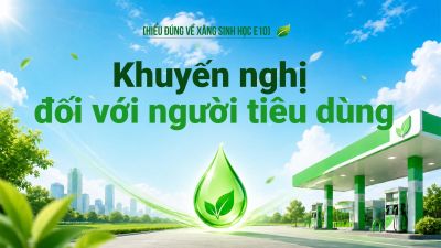Khuyến nghị đối với người tiêu dùng