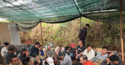 Triệt phá tụ điểm đá gà ăn tiền trong khu nhà kính