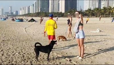 Đà Nẵng kiên quyết xử lý hành vi phản cảm của du khách nước ngoài