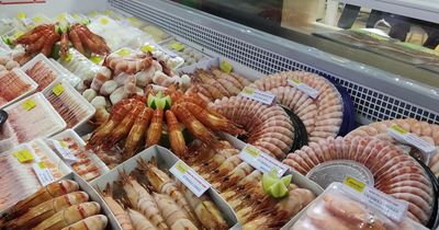 'Ông lớn' ngành tôm Minh Phú tăng tốc: Kỳ vọng doanh thu năm 2026 đạt gần 20.000 tỷ đồng