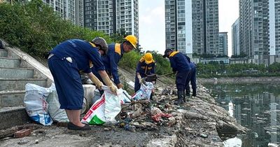 Cầu Giấy: Tổng lực 'giải cứu' hồ Công viên CV1 khỏi sự cố cá chết dạt bờ