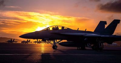 Tiêm kích hạm F/A-18 Super Hornet sẽ đóng vai trò 'quân xanh xịn'?