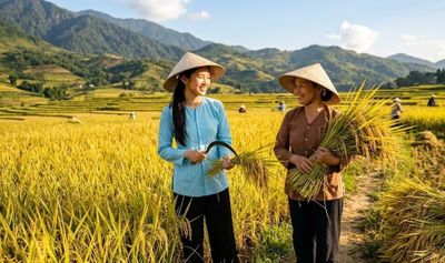 Giá gạo xuất khẩu duy trì ổn định, triển vọng tháng 6 ra sao?