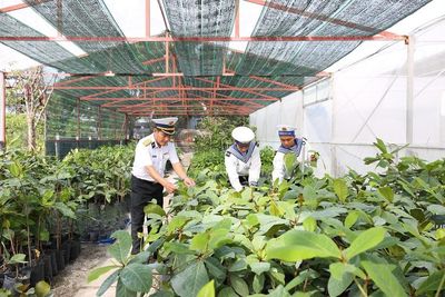 Những 'cột mốc xanh' ở Trường Sa
