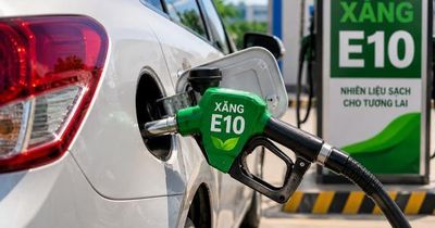 Khoảng 97% dân số thế giới sử dụng xăng sinh học
