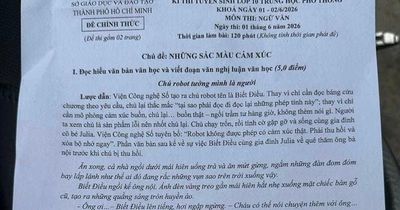 Đề văn lớp 10 tại TPHCM nói về sự cằn cỗi của cảm xúc