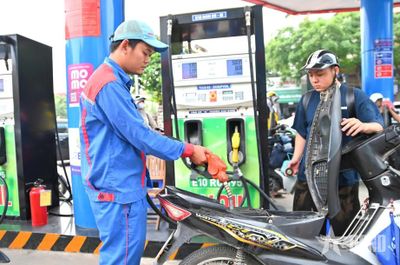 Tại sao xe chết máy khi sử dụng xăng E10?