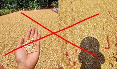 Dừng một nhịp trước khi chia sẻ
