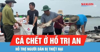 Hỗ trợ người dân bị thiệt hại do cá chết ở hồ Trị An