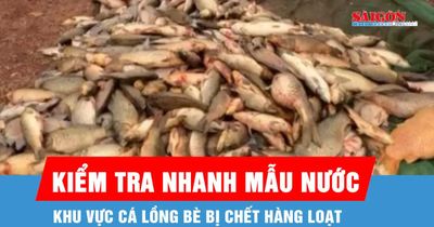TP Đồng Nai: Kiểm tra nhanh mẫu nước tại khu vực cá chết hàng loạt
