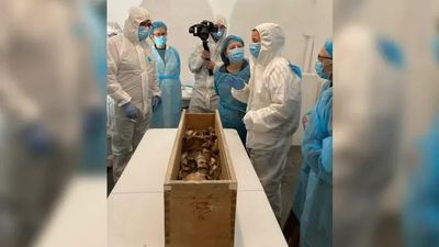 Khai quật di hài Hoàng hậu Elisenda hé lộ nhiều bí ẩn trong tu viện ở Barcelona